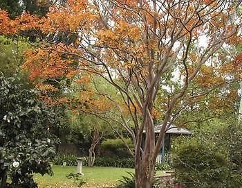 Strathburn Cottage Luxury Bed And Breakfast Bowral Extérieur photo