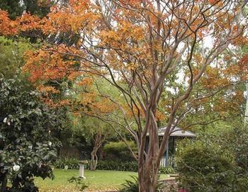 Strathburn Cottage Luxury Bed And Breakfast Bowral Extérieur photo